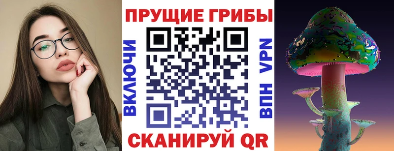 Псилоцибиновые грибы Psilocybe  Суджа 